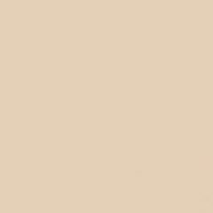 GDX Kağıt Sonsuz Stüdyo Fon Perde (Egg Nog) 2.70x11 Metre