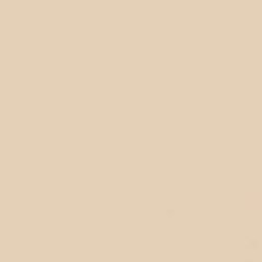GDX Kağıt Sonsuz Stüdyo Fon Perde (Egg Nog) 2.70x11 Metre