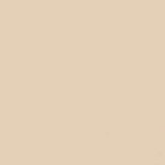 GDX Kağıt Sonsuz Stüdyo Fon Perde (Egg Nog) 2.70x11 Metre