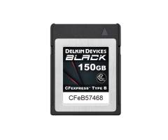 Delkin Devices 150GB Black CFexpress Tip B Hafıza Kartı