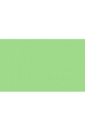 BD Backgrounds Stüdyo Fon  (SpringGreen 174)