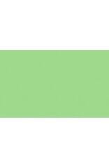 BD Backgrounds Stüdyo Fon  (SpringGreen 174)