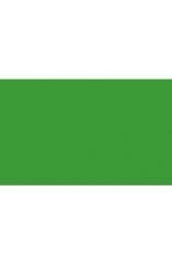 BD Backgrounds Stüdyo Fon  (Veri Green 132)