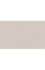 BD Backgrounds Stüdyo Fon  (Silver Gray 127)