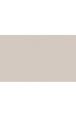 BD Backgrounds Stüdyo Fon  (Silver Gray 127)