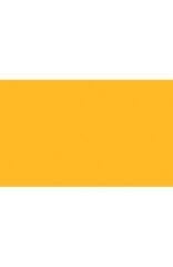 BD Backgrounds Stüdyo Fon  ( Marigold 169)