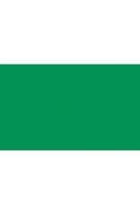 BD Backgrounds Stüdyo Fon  (Foto Green 162)