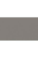 BD Backgrounds Stüdyo Fon  (Dove Gray 109)