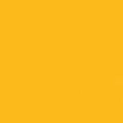 GDX Kağıt Sonsuz Stüdyo Fon Perde (Deep Yellow) 2.70x11 Metre