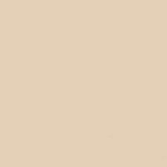 GDX Seyyar Kağıt Sonsuz Stüdyo Fon Perde (Egg Nog) 2.70x11 Metre