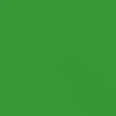 GDX Seyyar Kağıt Sonsuz Stüdyo Fon Perde (Green/Yeşil) 2.70x11 Metre