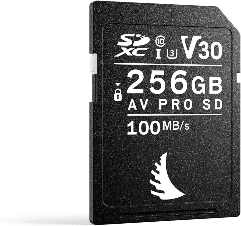 Angelbird AV Pro Class 10 UHS-I U3 V30 256 GB Hafıza Kartı