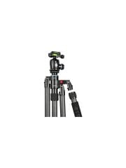 Sirui S-2204-N + G-20X Karbon Fiber Tripod Kiti