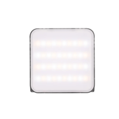 ZHIYUN MOLUS M20 COMBO