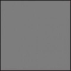 LEE Filters 100 x 100mm Standart ND 0.3 Cam Filtre