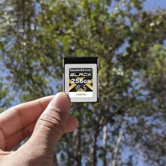 DELKIN BLACK CFeB 4.0 MEMORY CARD 256GB