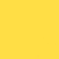 Gdx Kağıt Sonsuz Stüdyo Fon Perde (Canary) 2.70x11 Metre