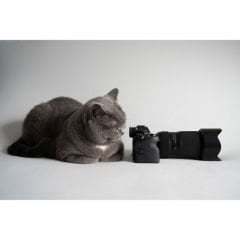 Tamron 50-300mm f/4.5-6.3 Di III VC VXD Lens (Sony E)