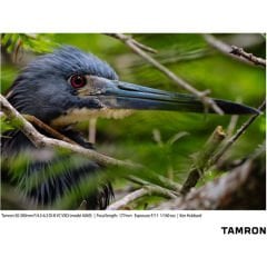 Tamron 50-300mm f/4.5-6.3 Di III VC VXD Lens (Sony E)