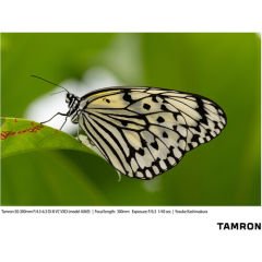 Tamron 50-300mm f/4.5-6.3 Di III VC VXD Lens (Sony E)