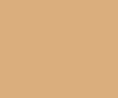 Lastolite 9025 2.75x11m Sandstone Kağıt Fon