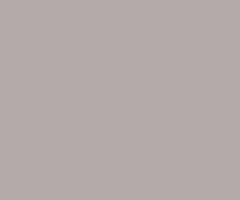Lastolite 9026 2.75x11m Flint Kağıt Fon