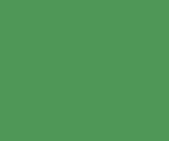 Lastolite 9046 2.75x11m Leaf Green Kağıt Fon