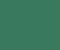 Lastolite 9074 2.75x11m Pine Green Kağıt Fon