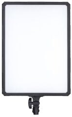 Kaiser PL 100D LED Studio Light (3479)