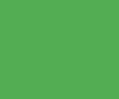 LASTOLITE 9073 2,75X11M. PAPER CHROMAKEY GREEN