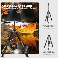 Freewell The Real Multi Tripod 5 in 1